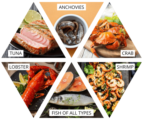 seafood ketogenic