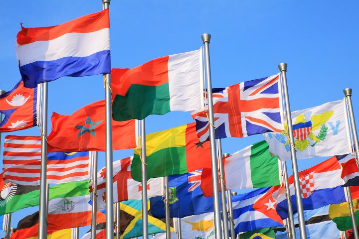 Flags representing the Commonwealth